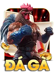 Đá gà